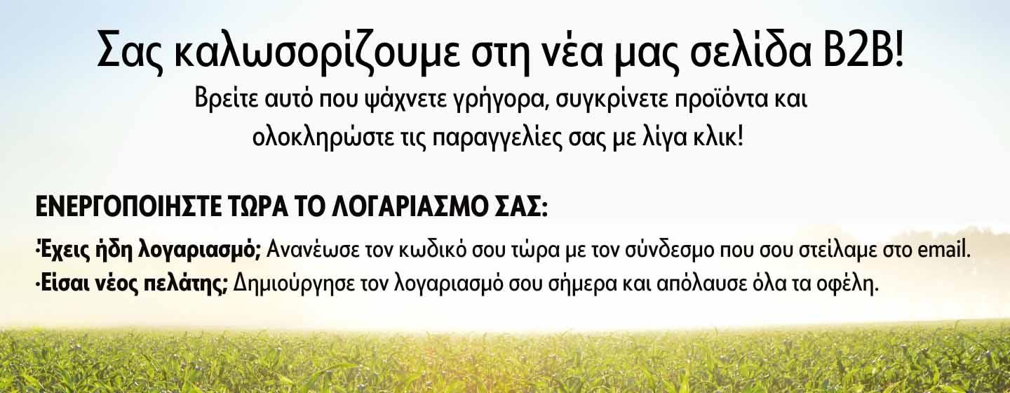 Promotion Banner