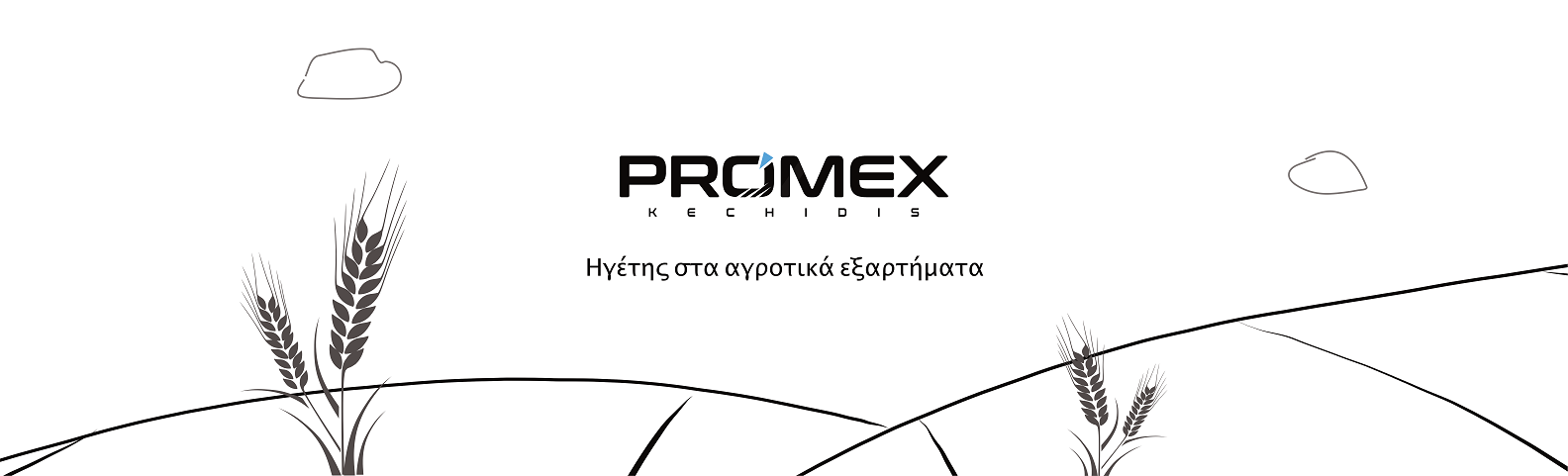 promex backround